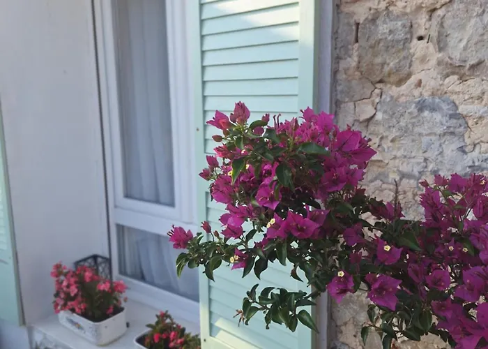 La Buganvilla En Udías Comillas